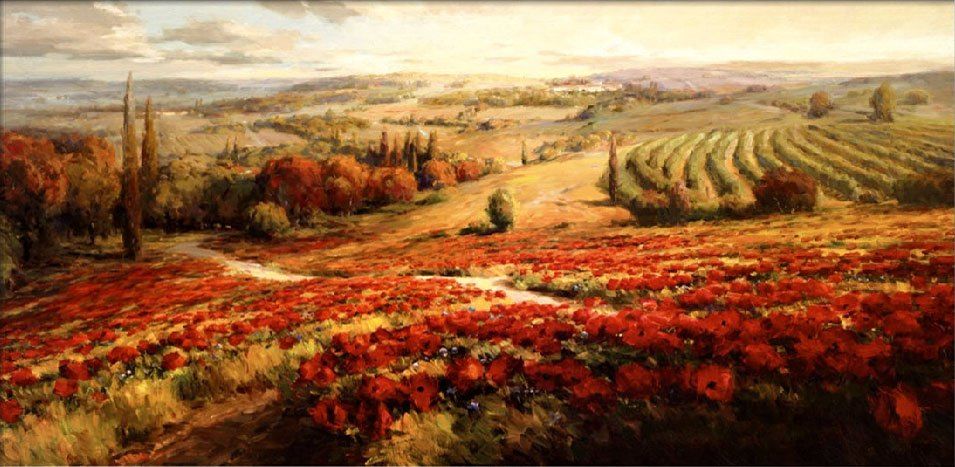 Roberto Lombardi Red Poppy Panorama